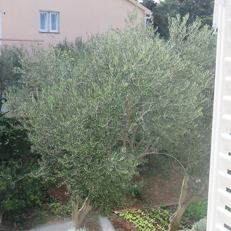 Guest House Miro Novaglia Camera foto